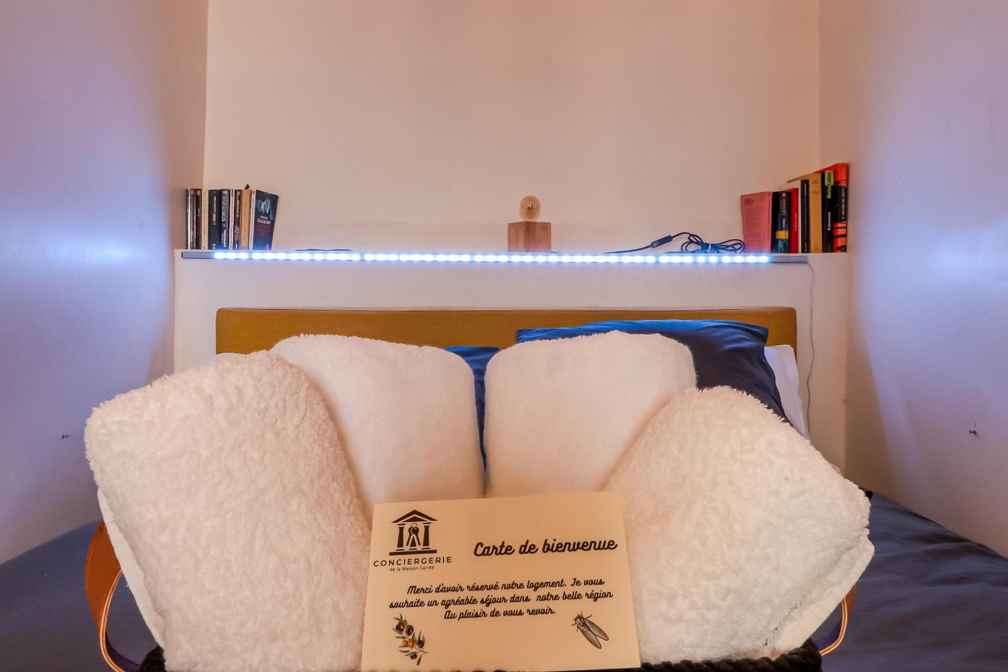 Le Vintage, Appart,Hotel Particulier, Centre Nimes Maisoncarreeconciergerie 외부 사진